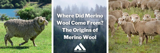 Where Did Merino Wool Come From? | The Origins of Merino Wool