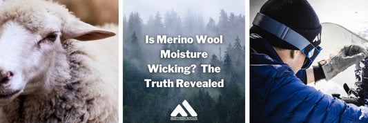Is Merino Wool Moisture Wicking?  The Truth Revealed