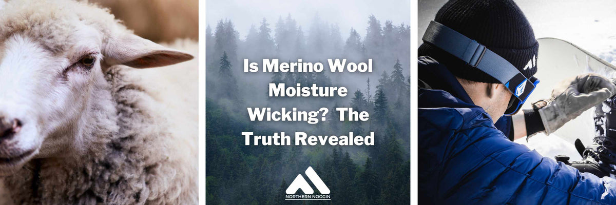 Is Merino Wool Moisture Wicking? The Truth Revealed – NorthernNoggin